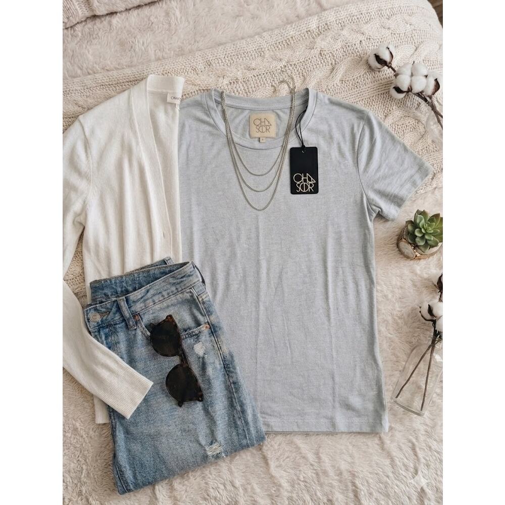 Chaser Classic Jersey Crew Neck Tee Light Gray Soft Slub Knit Shirt Small NWT